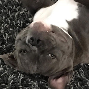 Meet your Posher, Sean